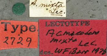 Media type: image;   Entomology 2729 Aspect: labels